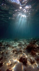 Fototapeta premium Sunlight beams through underwater, sandy seabed