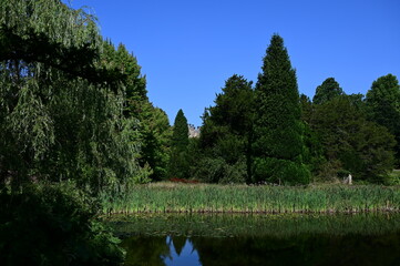 Lake at an English estate in the summertime.