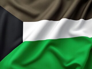 Obraz premium Kuwait flag