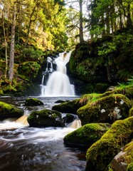 Fototapeta premium Cascading waterfall in lush forest (1)
