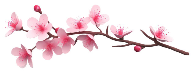 PNG Blossom flower cherry plant.