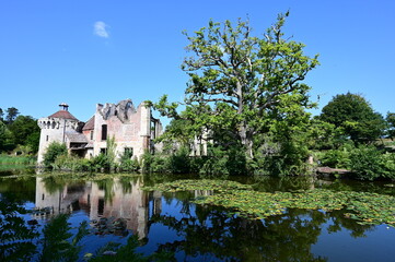 Lake at an English estate in the summertime.