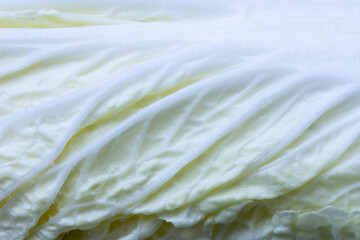 White cabbage texture macro,White cabbage in section. Cut cabbage. Light leaves of early cabbage.