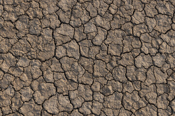 Close-up of cracked soil background,Texture of the dried earth with clay and sand, close-up.