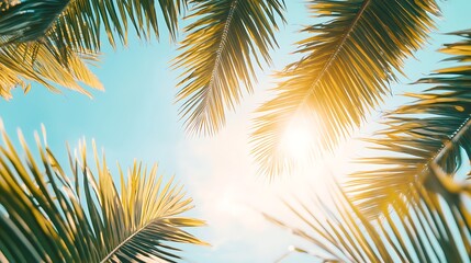 Obraz premium Palm leaves against a light blue sky with bright sunlight shining through branches