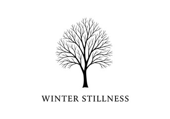 Winter stillness bare tree isolated on white background