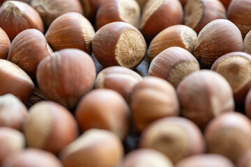 hazelnuts on wooden background close up