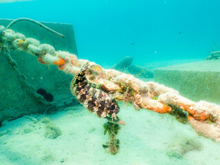 Anchor chain on the bottom of the Adriatic Sea near Losinj, Croatia. Sand and turquoise water in the background