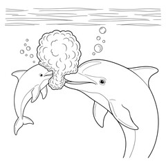 A baby dolphin blows a big bubble beard right in its parent's face.