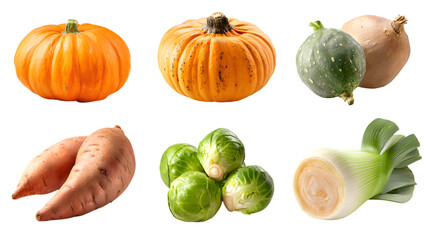 Fresh autumn harvest vegetables for healthy eating and seasonal recipes, pumpkins, sweet potatoes, leeks isolated on white background 