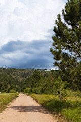 The Mickelson Trail, South Dakota