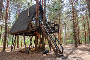 Unique A-frame treehouse situated among pine trees with elevated deck and cozy ambiance. Perfect...