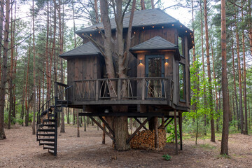 A charming wooden treehouse among tall trees in a forest setting. Concepts of eco-living,...