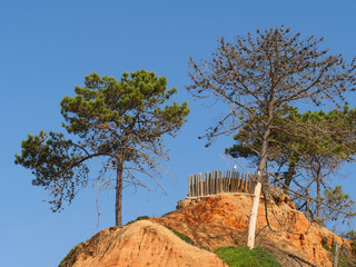 Landscape shots Praia Maria Luisa Albufeira, Gorgeous flat beach, sandy with rocky cliffs, Algarve...