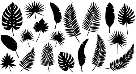 tropical leaves, palm leaves silhouettes, diverse collection, black shapes, design elements, artistic embellishments, leaf vector
