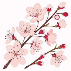 Beautiful pink cherry blossoms on a branch with buds and flowers