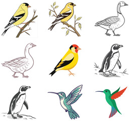 Obraz premium A charming collection of cute cartoon birds and wild animals vector illustration set