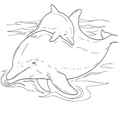  The baby dolphin is sleeping soundly on its parent's back.