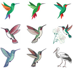 A colorful collection of funny birds set against a whimsical background