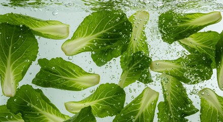 Fresh romaine lettuce heads with water droplets on white surface, crisp organic salad greens for healthy eating and meal preparation