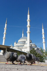 Kocatepe Mosque in Ankara - Turkey (Türkiye)