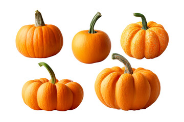 Assorted pumpkins in various shapes and sizes