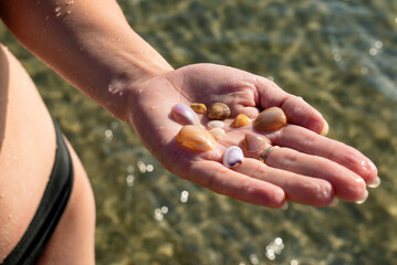 There are seashells on the hand