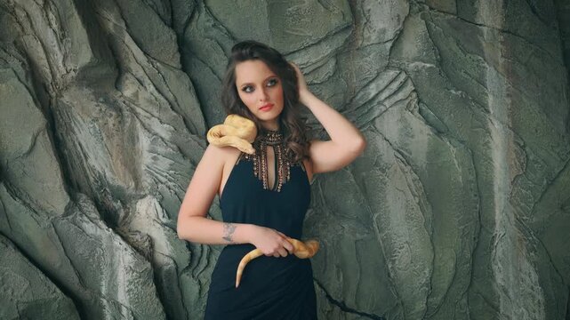 fashion model girl posing with yellow snake hypnotizes wth eyes, sexy woman hypnosis. Studio background gray stone. Black long dress. Vampire gothic lady touch ancient albino boa constrictor animal