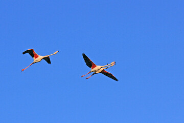 un trio vers d autres horizons