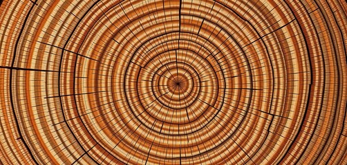 Naklejka premium Intricate wood grain, concentric rings, natural texture background, organic, growth rings