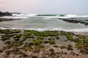 Misty seascape with blurred waves and a mossy, rocky shore at low tide.