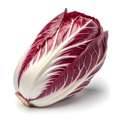 Obraz premium Late Treviso Radicchio Elegant Mature Italian Chicory with Long Burgundy Leaves and Striking White Ribs on Crisp White Background for Gourmet Botanical Beauty and Rich Culinary Flavor