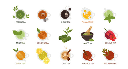 Illustration of various types of tea including green black chamomile mint oolong matcha hibiscus and more