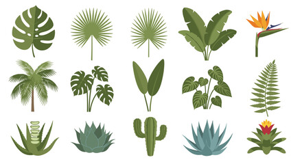 Illustration showing a variety of tropical plants including palms, ferns, cacti, and flowering plants