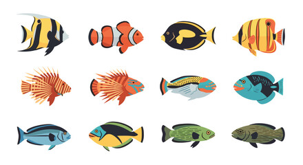 Illustration of twelve tropical fish species with diverse colors and patterns on a white background