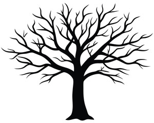 Fototapeta premium Solid Black Silhouette of a Bare Tree Without Leaves