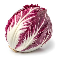 Variegato di Castelfranco Radicchio Elegant Italian Chicory with Creamy White Leaves Speckled in Burgundy on Bright White Background for Gourmet Botanical Beauty and Culinary Sophistication
