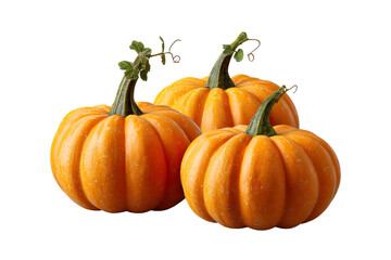 Three orange pumpkins on a transparent background