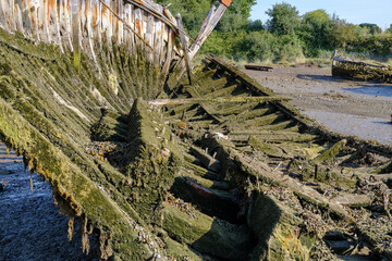Vestiges marins : exploration d'un cimetière de bateaux