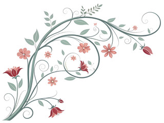 Elegant floral vine with blooming flowers and leaves ornamental decorative