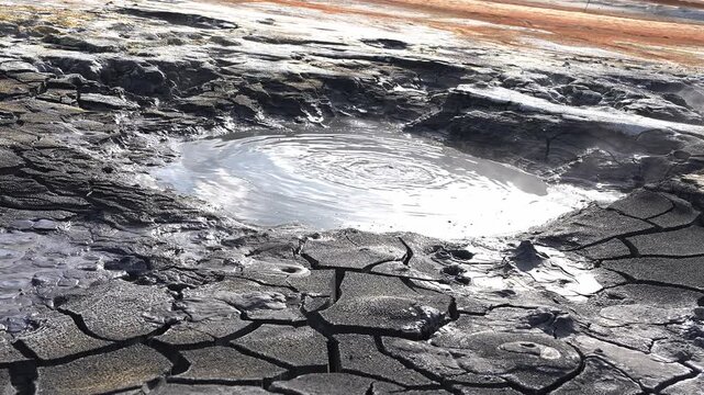 A bubbling mud pool in a geothermal area in Iceland, surrounded by cracked volcanic soil. Steam rises as ripples and bubbles form in the viscous mud.