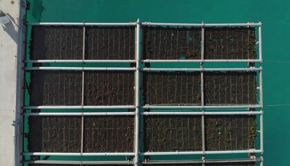 Coral Texture Symmetrical Industrial Grid with High-Resolution Detail
