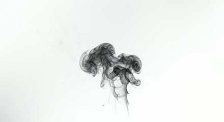 Artistic smoke formation with dramatic swirling shapes and concentrated dark gray wisps rising upward on clean white isolated background