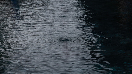 Calm water surface with ripples reflecting soft evening light in a quiet outdoor setting near a natural pond