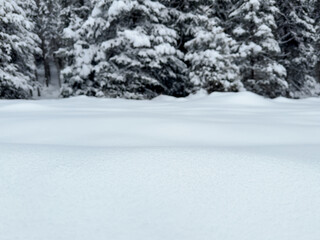 close-up of pure white snowdrift against snowy pine forest. winter background with empty space for text, product or project