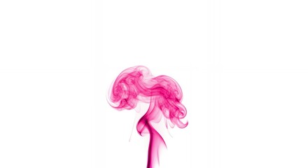 Fototapeta premium Hot pink smoke formation with elegant curves and swirling tendrils isolated on white background for feminine luxury brand designs
