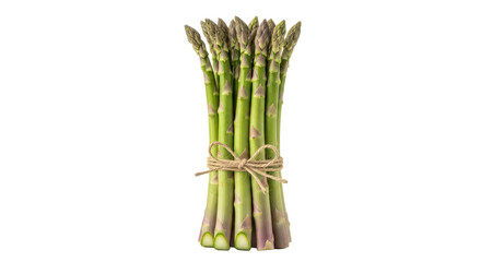 A fresh bunch of green asparagus spears tied with natural twine, isolated on a white background