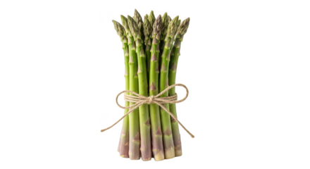 Fresh Green Asparagus Bunch, Tied with Twine
