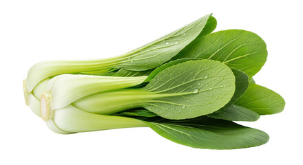 A vibrant bouquet of fresh multicolored spring tulips tied with a blue ribbon, isolated on a white background