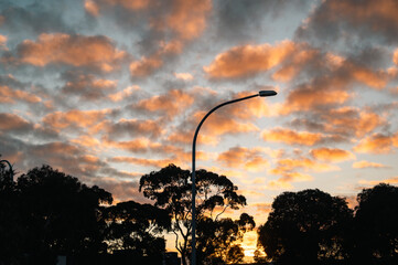 Amazing clouds over the residential area at sunrise, with silhouette of trees in the foreground and...